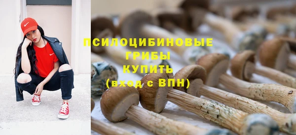 таблы Александровское
