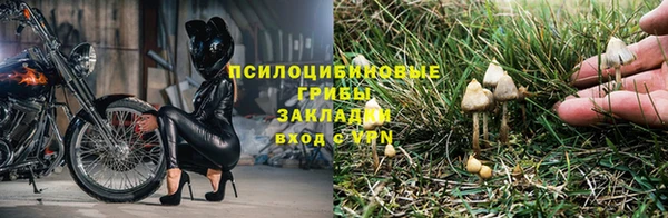 первитин Покровск