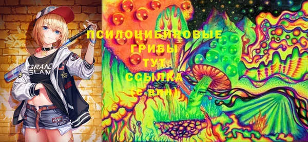 ГАЛЛЮЦИНОГЕННЫЕ ГРИБЫ Иноземцево