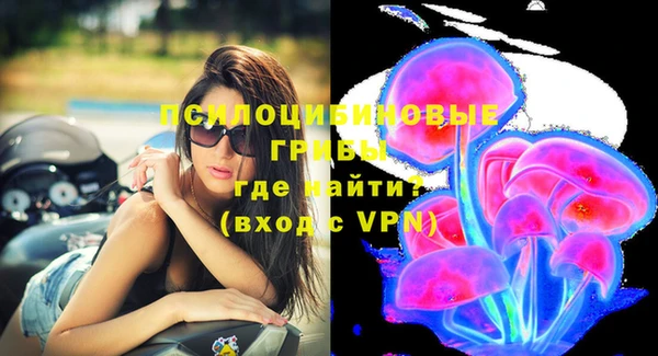 стаф Пролетарск