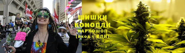 амф Приозерск