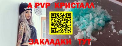 СК Бийск