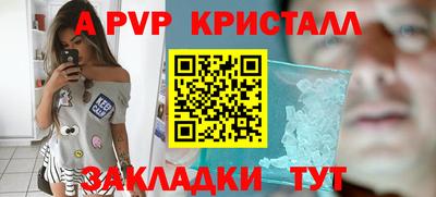 СК Бийск