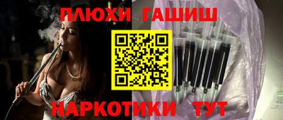 СК Бийск