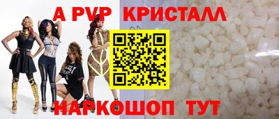 СК Бийск