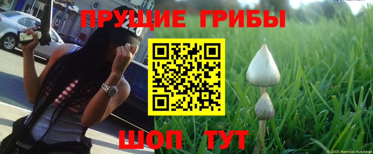 Псилоцибиновые грибы ЛСД Вольск